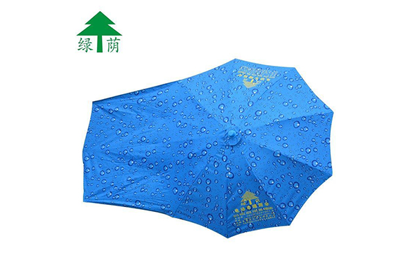 LvYin-Electric Vehicle Great Umbrella-No Stand