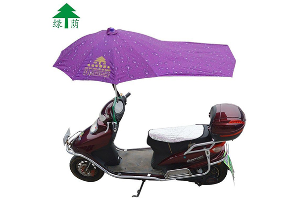 LvYin-Electric Vehicle Great Umbrella-No Stand