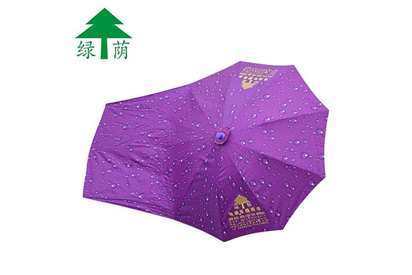 LvYin-Electric Vehicle Great Umbrella-No Stand